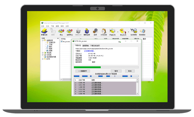 IDM Integration Module：网络下载助手截图