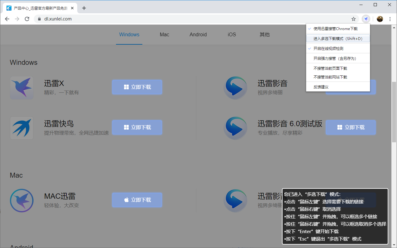  迅雷下载支持截图