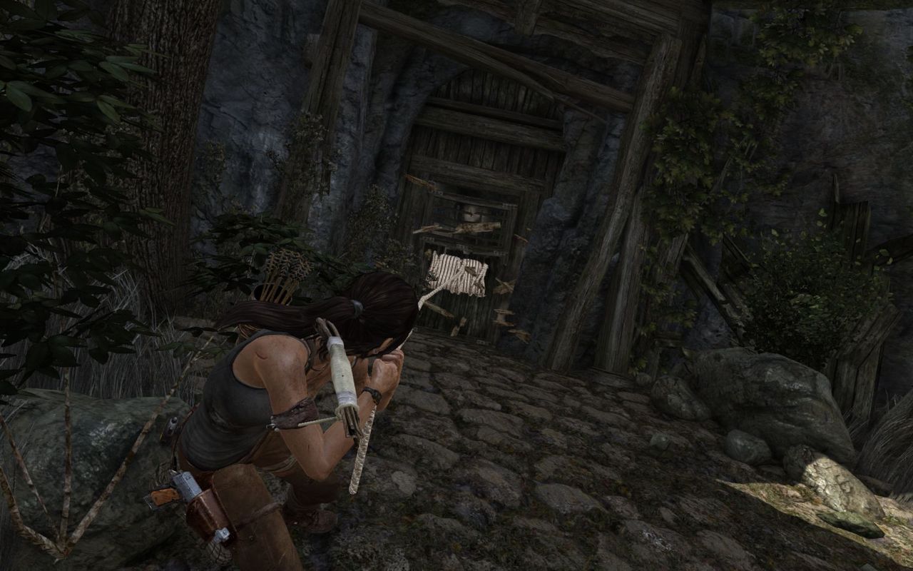 古墓丽影9(Tomb Raider 9)截图