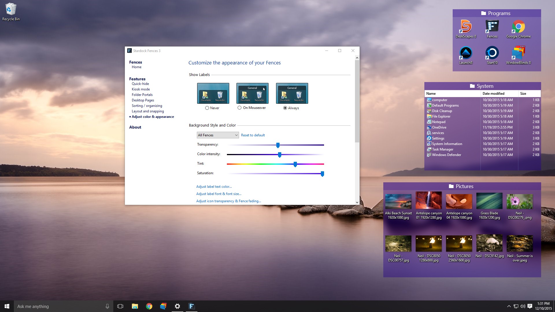 StarDock Fences v3.0.5.12官方版截图