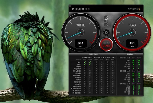 Disk Speed Test Mac版 V3.4 官方版截图