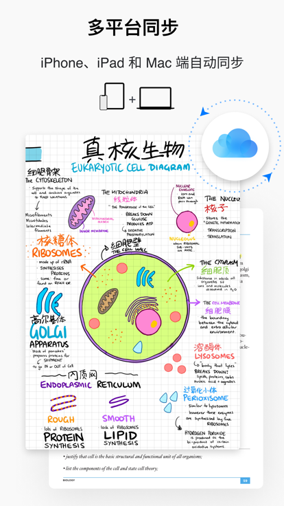 GoodNotes 5截图