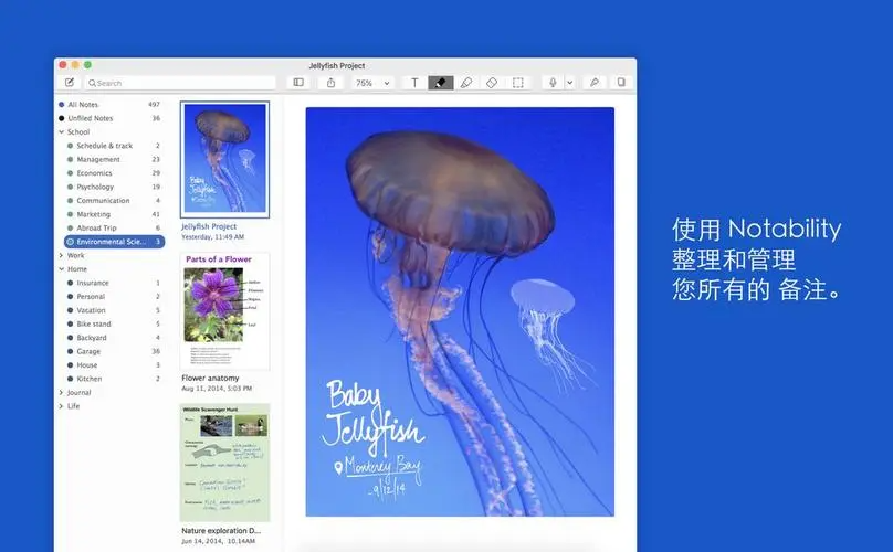 Notability Mac版 V4.4.4 官方版截图