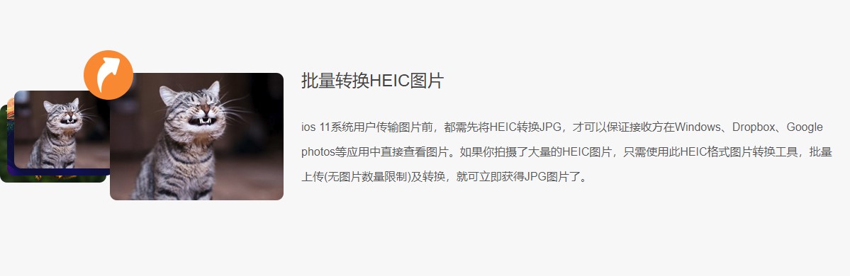 云橙苹果HEIC转JPG转换器 v3.2.1.0官方版截图