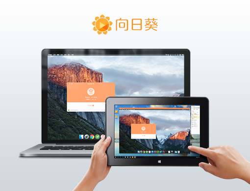 向日葵主控端  v5.5.3.49338官方版截图