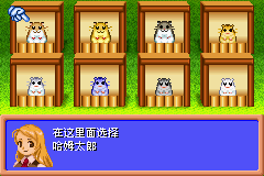 仓鼠天堂 (Hamster Paradise Advanchu)简体中文截图