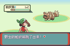 口袋妖怪：绿宝石 (Pokemon - Emerald Version) 简体中文截图