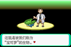 口袋妖怪：绿宝石 (Pokemon - Emerald Version) 简体中文截图