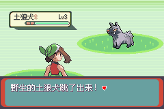 口袋妖怪：绿宝石 (Pokemon - Emerald Version) 简体中文截图