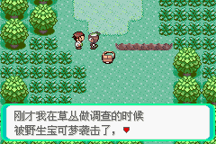 口袋妖怪：绿宝石 (Pokemon - Emerald Version) 简体中文截图