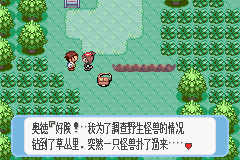 口袋妖怪：蓝宝石 (Pokemon - Sapphire Version)简体中文截图