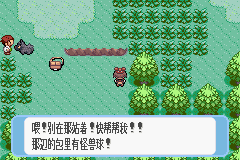 口袋妖怪：蓝宝石 (Pokemon - Sapphire Version)简体中文截图