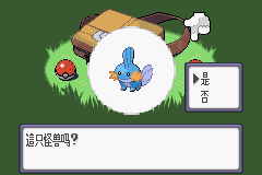 口袋妖怪：蓝宝石 (Pokemon - Sapphire Version)简体中文截图