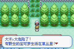 口袋妖怪：火红802 (Pocket Monsters - FireRed) 简体中文截图