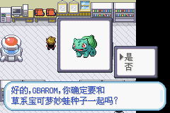 口袋妖怪：火红802 (Pocket Monsters - FireRed) 简体中文截图