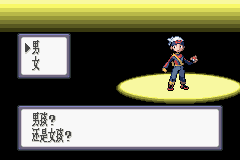 口袋妖怪：红宝石 (Pokemon - Ruby Version)简体中文截图