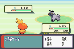 口袋妖怪：红宝石 (Pokemon - Ruby Version)简体中文截图