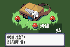 口袋妖怪：红宝石 (Pokemon - Ruby Version)简体中文截图