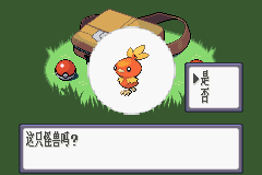 口袋妖怪：红宝石 (Pokemon - Ruby Version)简体中文截图