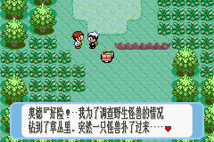 口袋妖怪：红宝石 (Pokemon - Ruby Version)简体中文截图