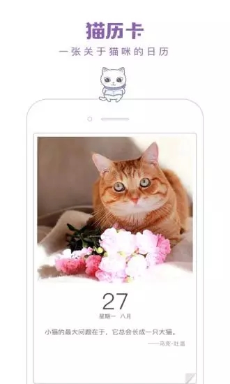 一日猫截图