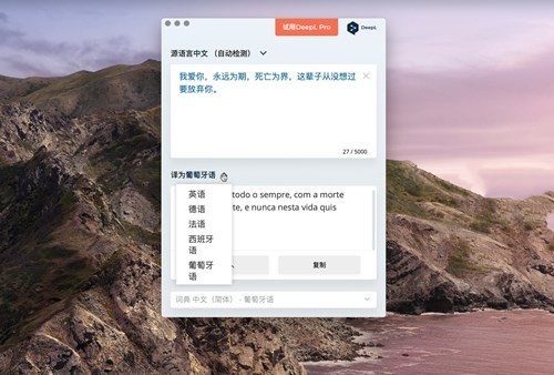 deepl Mac版1.13.0官方版截图
