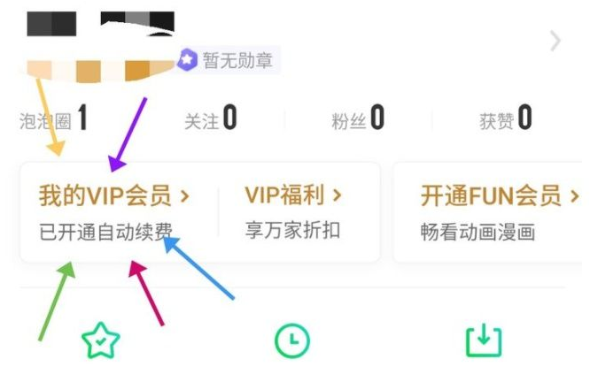 《爱奇艺》怎么取消vip会员自动续费