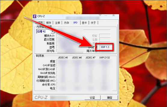 《Cpu-Z》怎么查看内存条是否支持XMP超频