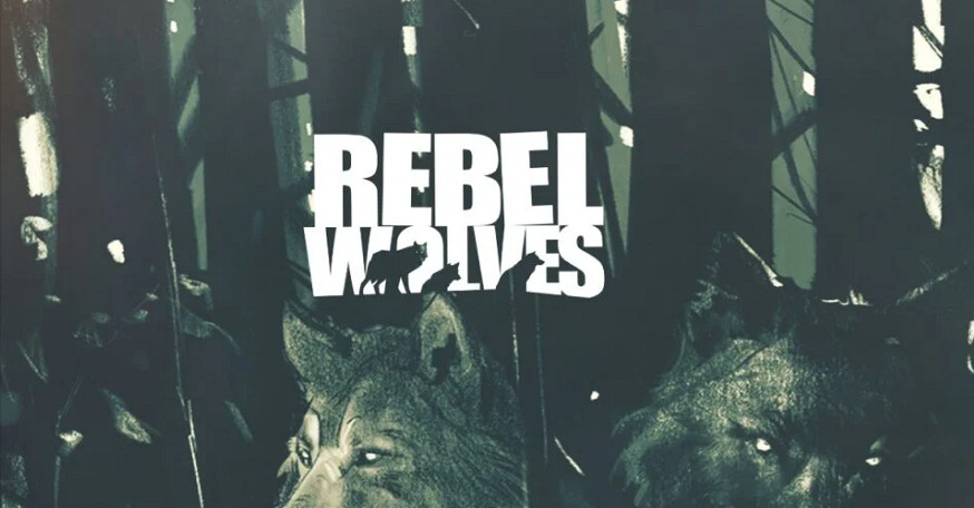 《巫师3》前总监新工作室Rebel Wolves获网易投资 工作室表示仍拥有独立营运权