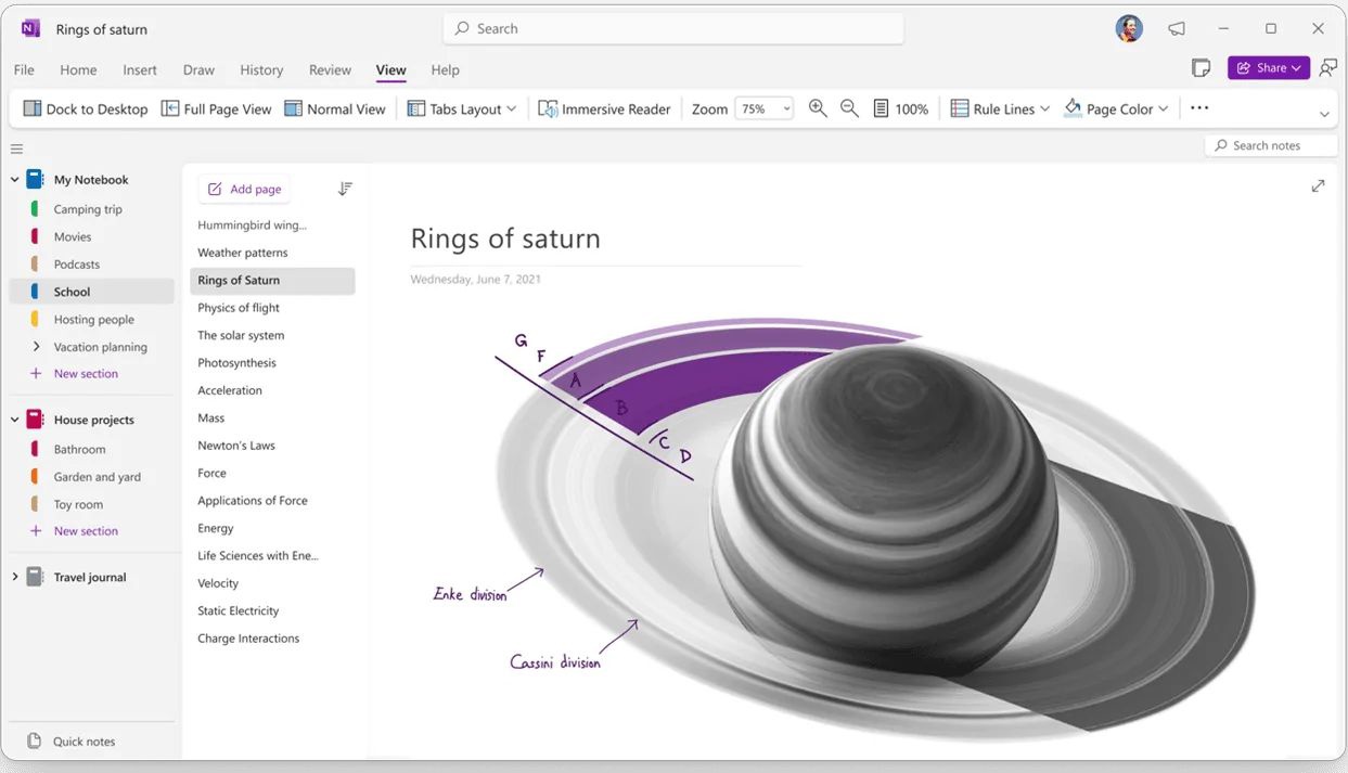 微软预告 OneNote on Windows 会在明年引入垂直标签功能