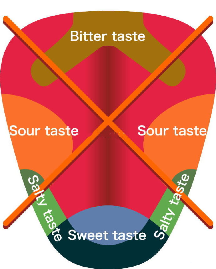 【冷知识】舌头上不存在味蕾分布地图