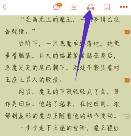 《菠萝包轻小说》怎么开启语音朗读模式