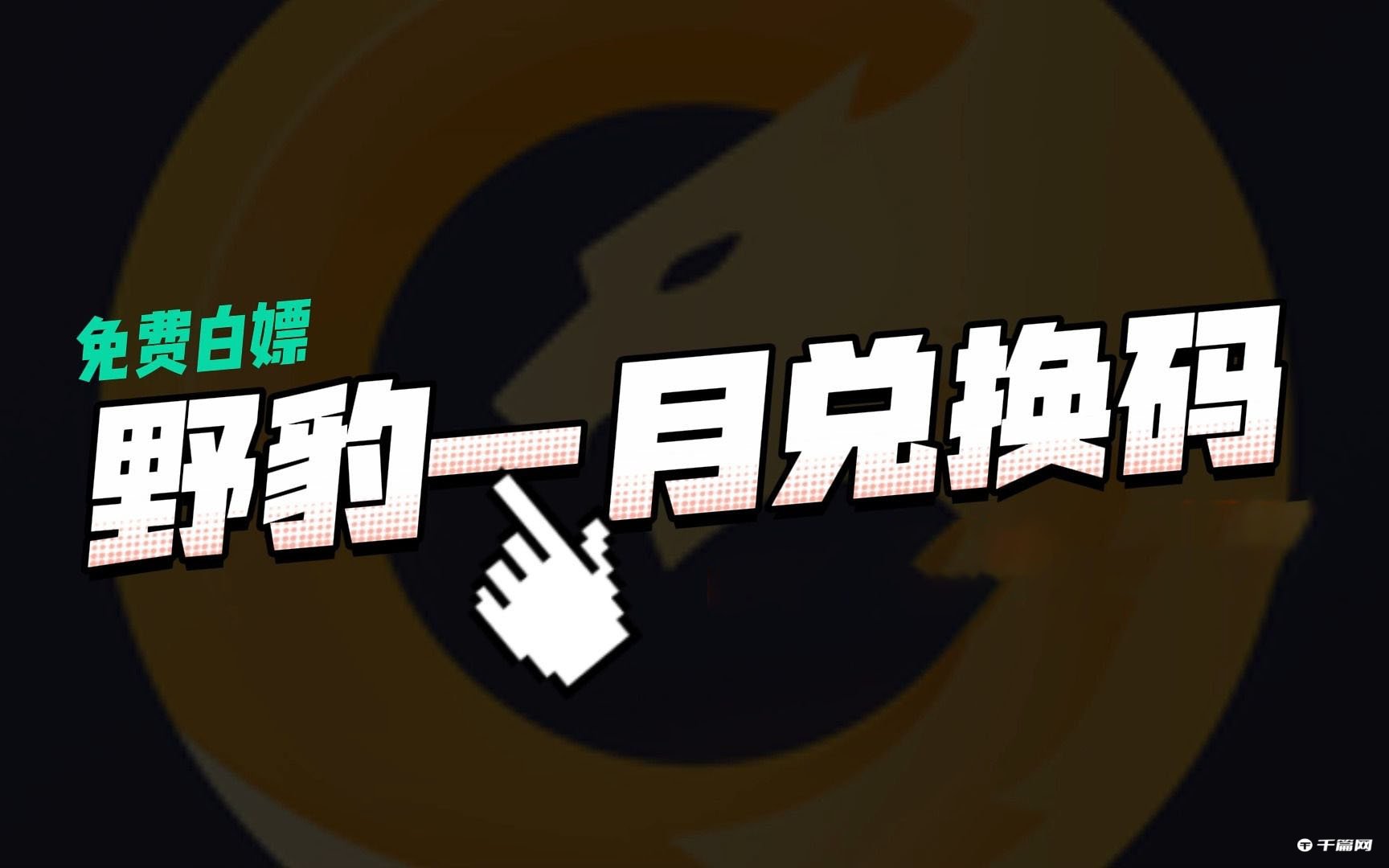 《野豹游戏加速器》2023年1月最新兑换码