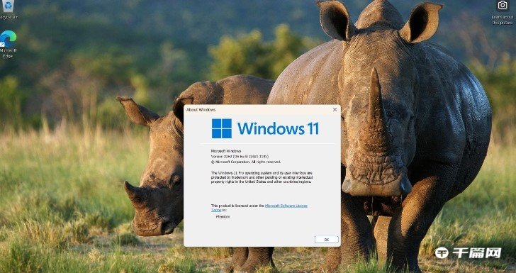 微软 Win11 正式版 Build 22621.1105，可以自由选择任务栏搜索的样式