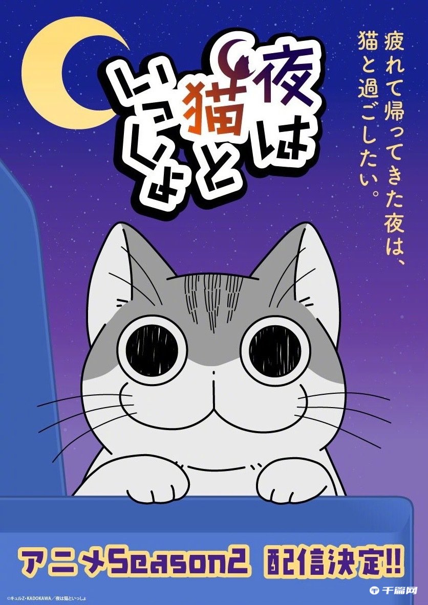 动画《关于养猫我一直是新手》决定制作第2季