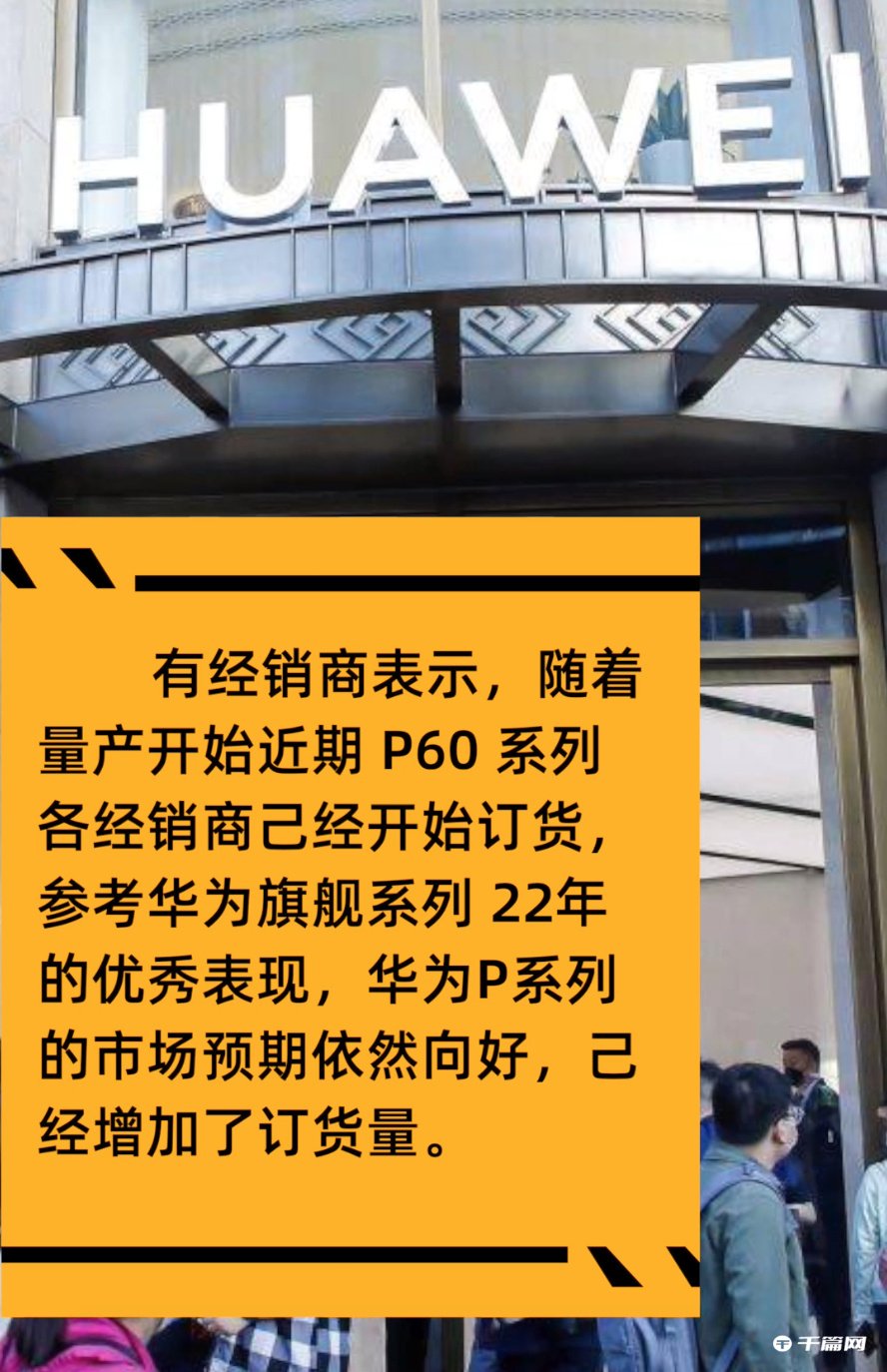 《华为 P60 系列》最新资讯：经销商称已为华为庞大的市场做好准备