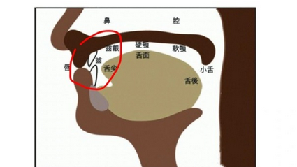 【冷知识】你舌头平时是怎么摆放的？