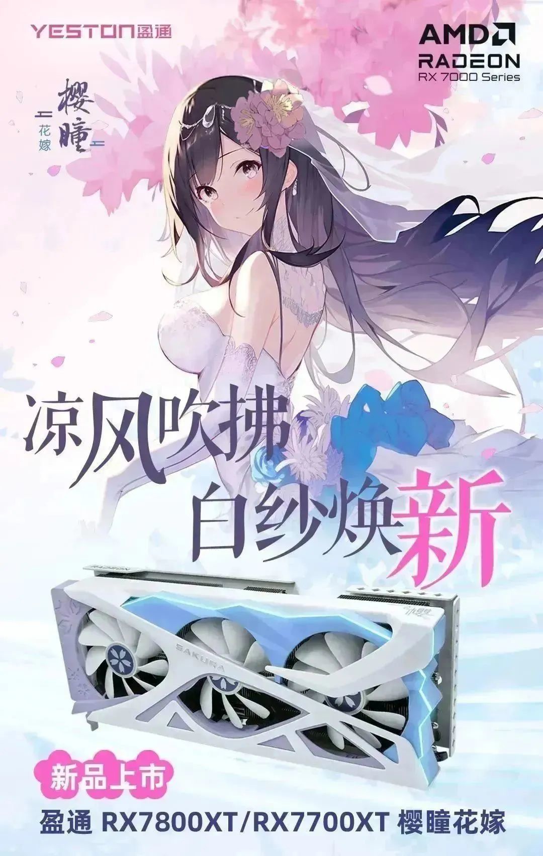 《盈通RX 7800/7700 XT樱瞳花嫁》显卡正式发售：售价 4199/3699 元