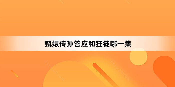 《甄嬛传》中孙答应和狂徒哪一集