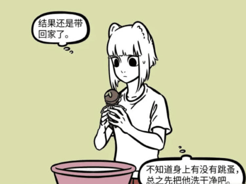 《非人哉》漫画更新，九月的意外救助与土地公的奇特变身