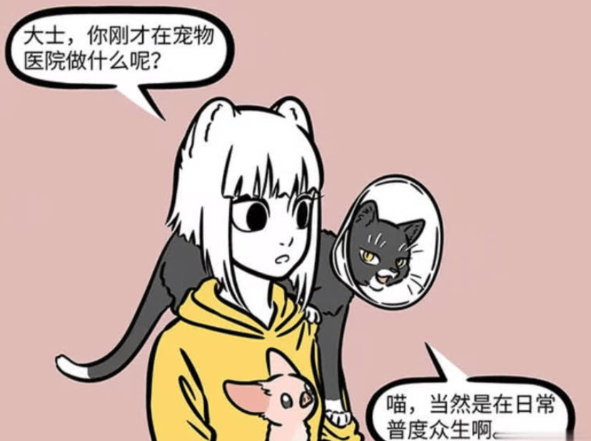 《非人哉》：观音化身黑猫在宠物医院，九月担忧其安危