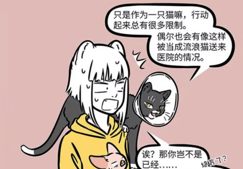 《非人哉》：观音化身黑猫在宠物医院，九月担忧其安危