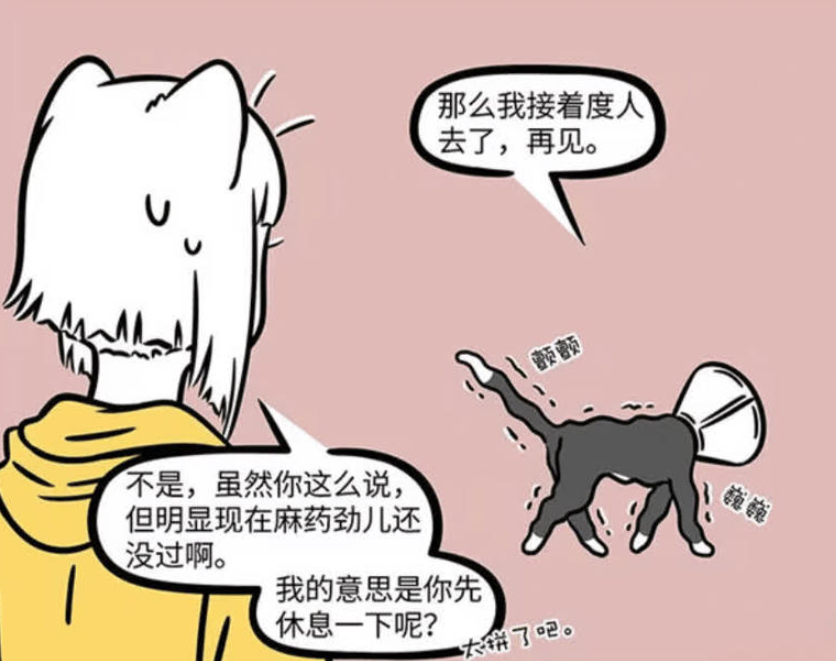 《非人哉》：观音化身黑猫在宠物医院，九月担忧其安危