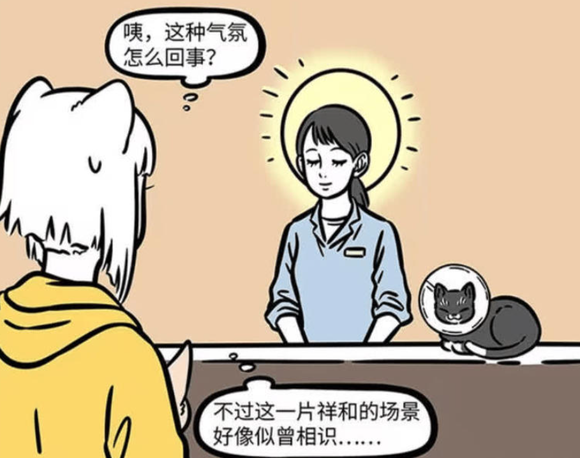 《非人哉》漫画版：九月带徐哼唧就医，意外遇见观音化身黑猫