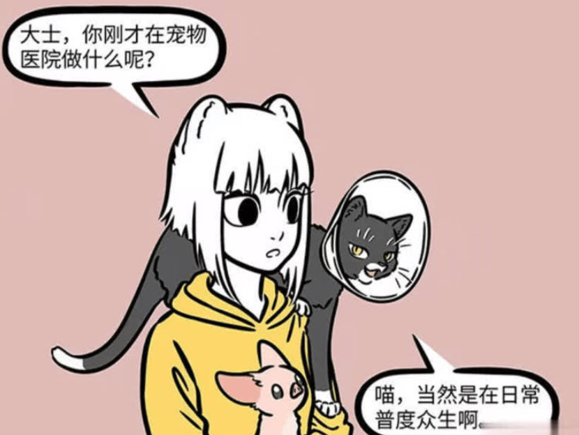 《非人哉》漫画版更新，九月探秘观音化身黑猫在宠物医院的使命与困境