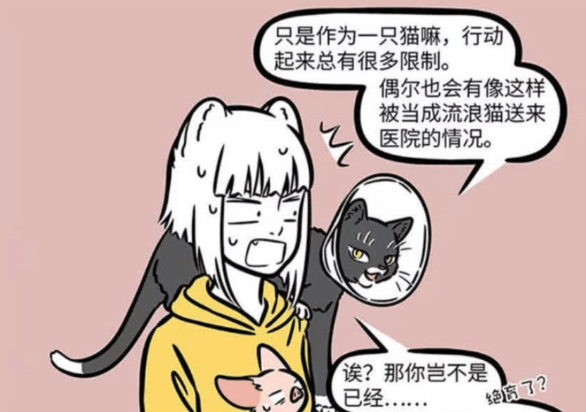 《非人哉》漫画版更新，九月探秘观音化身黑猫在宠物医院的使命与困境