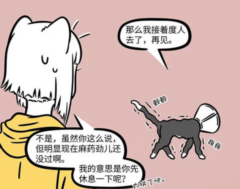 《非人哉》漫画版更新，九月探秘观音化身黑猫在宠物医院的使命与困境