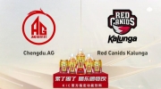 AG巫师速胜RED，夺得《王者荣耀》世界冠军