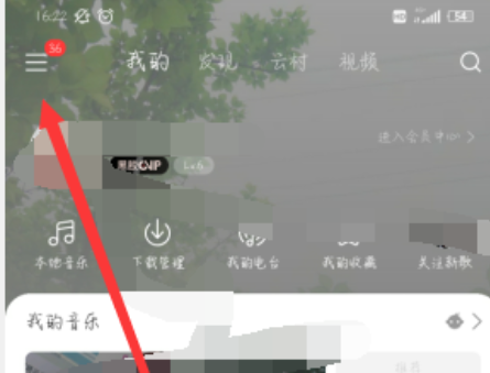 《网易云音乐》歌词怎么显示在手机屏幕上