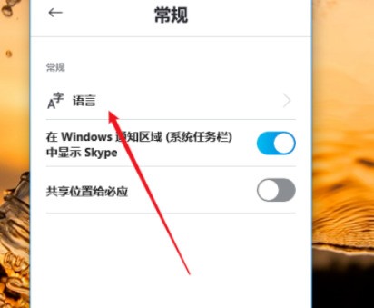 《skype》怎样设置语言